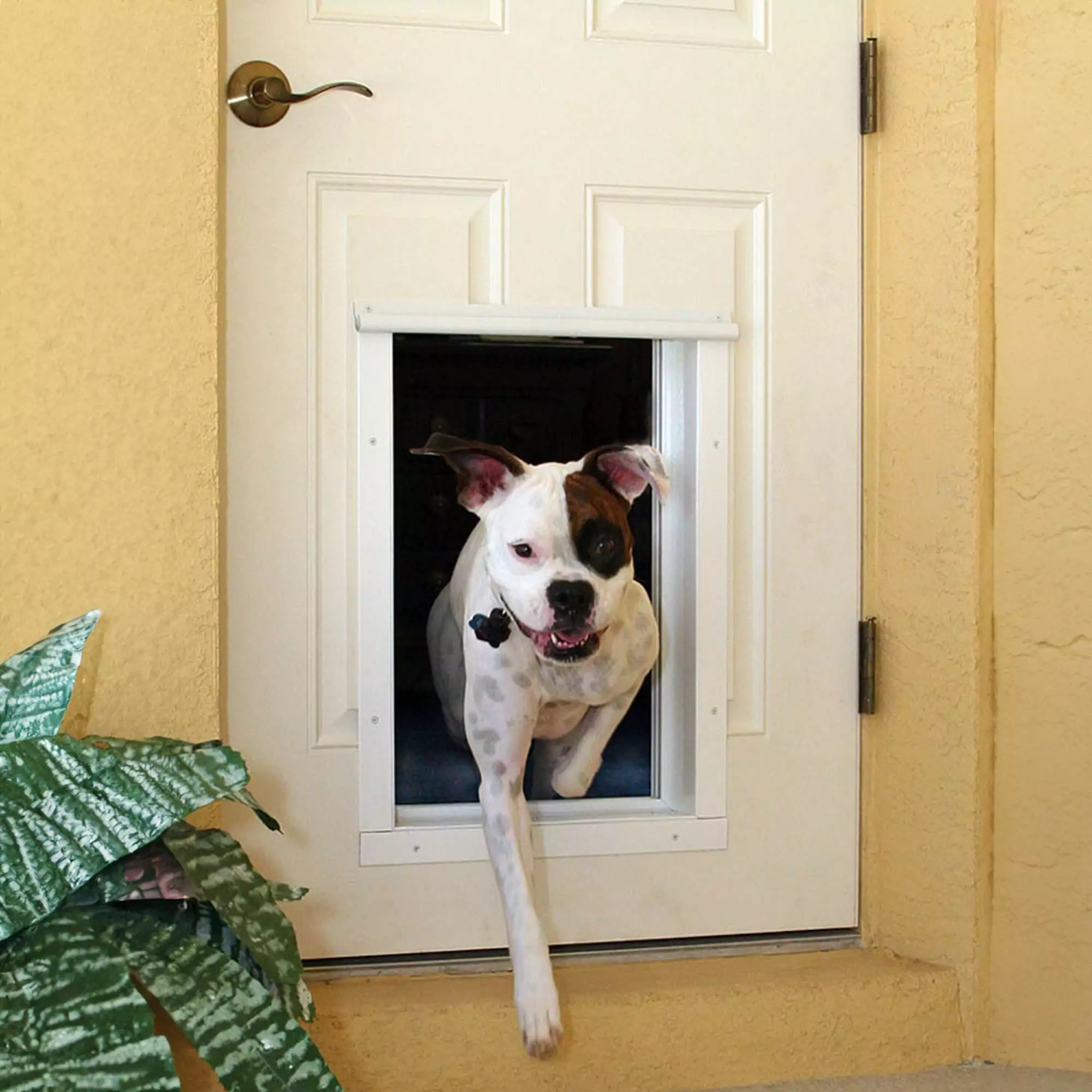 PlexiDor Electronic Pet Door